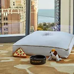 Viceroy Hotel Chicago