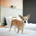 Hotel Aloft By Marriott Downtown River North