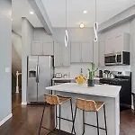 Modern Condo Oasis In The Heart Of Chicago Home