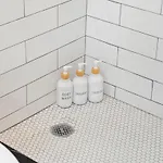2 Bed & 3 Bath Apartment Chicago