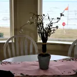 Charming Lakefront Stunning View