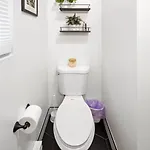 2 Bd 2 Ba Bucktown Safari Flat