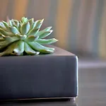 Best Western Chicago Downtown-River North