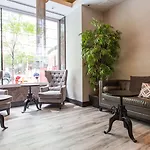 Ivy Boutique (adults Only)