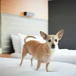 Aloft By Marriott Downtown River North Hotel 3*