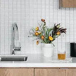 The Study At The University Of Chicago