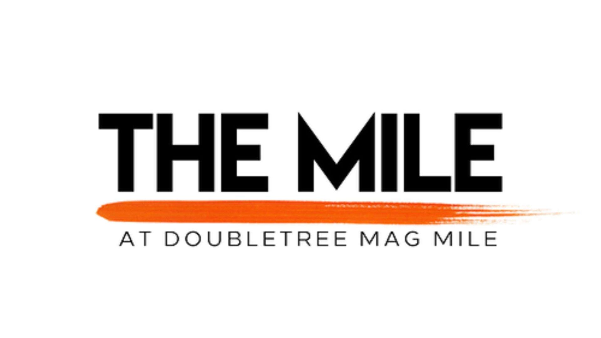 Hotel Doubletree By Hilton Magnificent Mile 4*