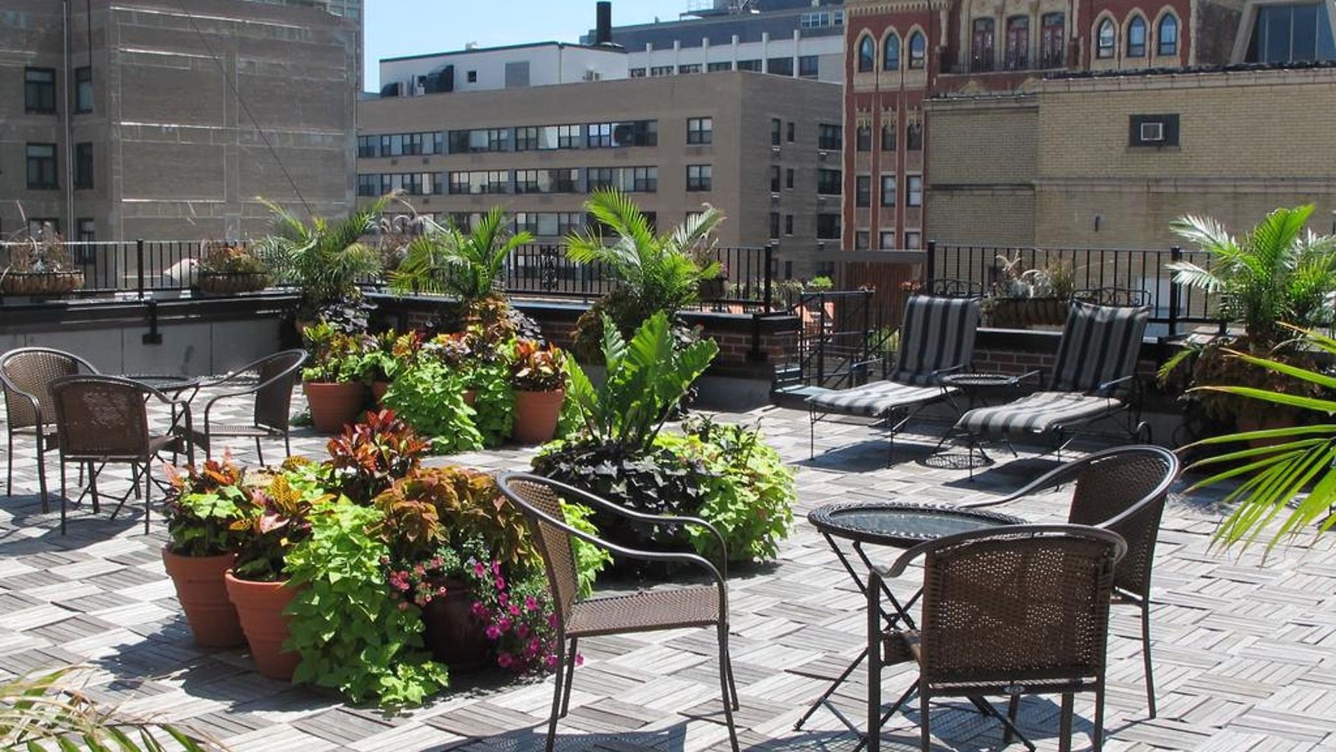 Gale Hotel 4*