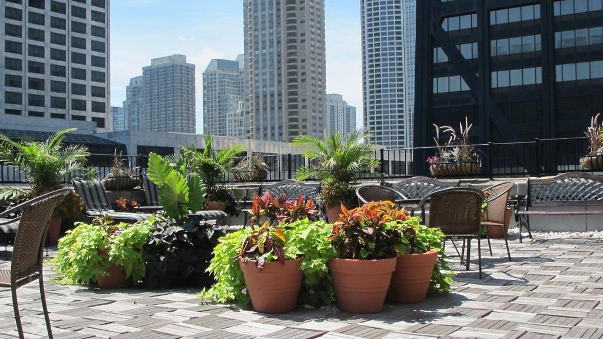 Hotel Gale Chicago