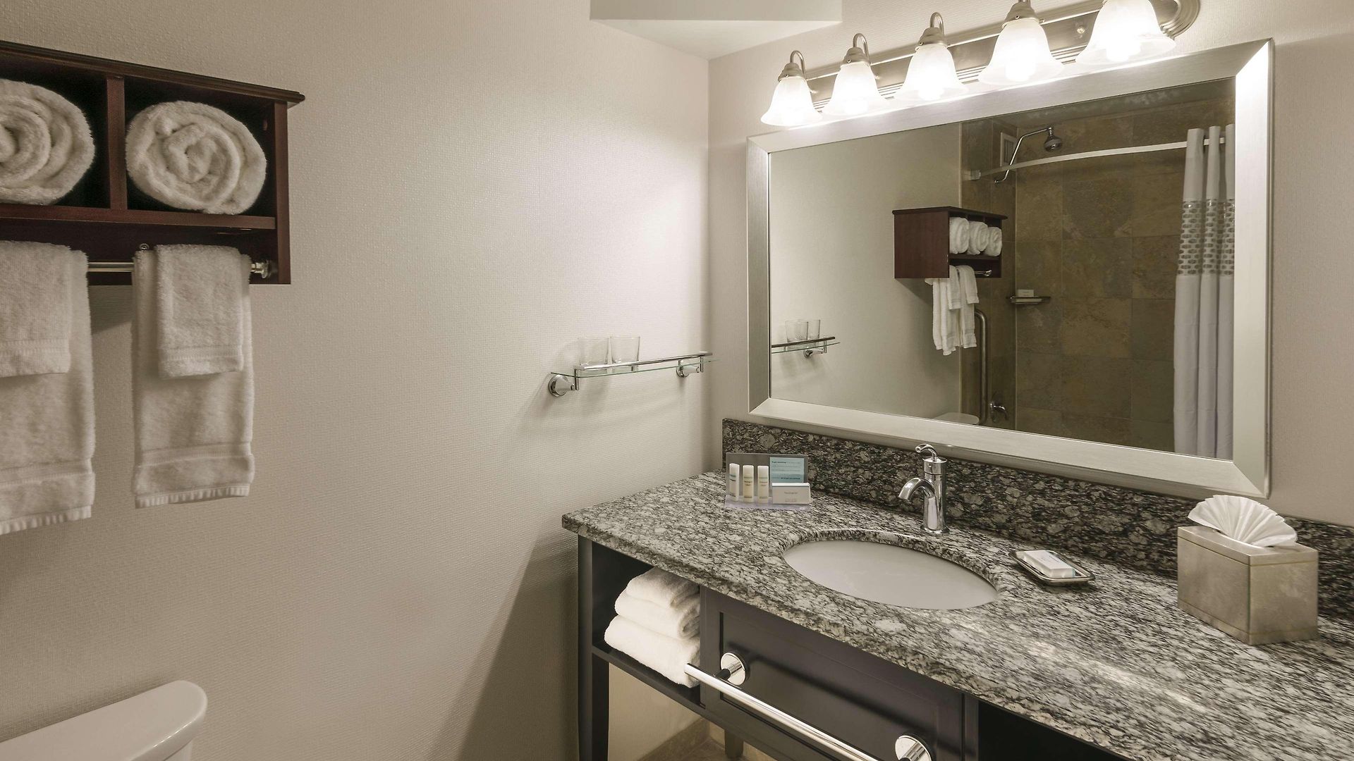 Hotel Hampton Downtown/magnificent Mile Chicago