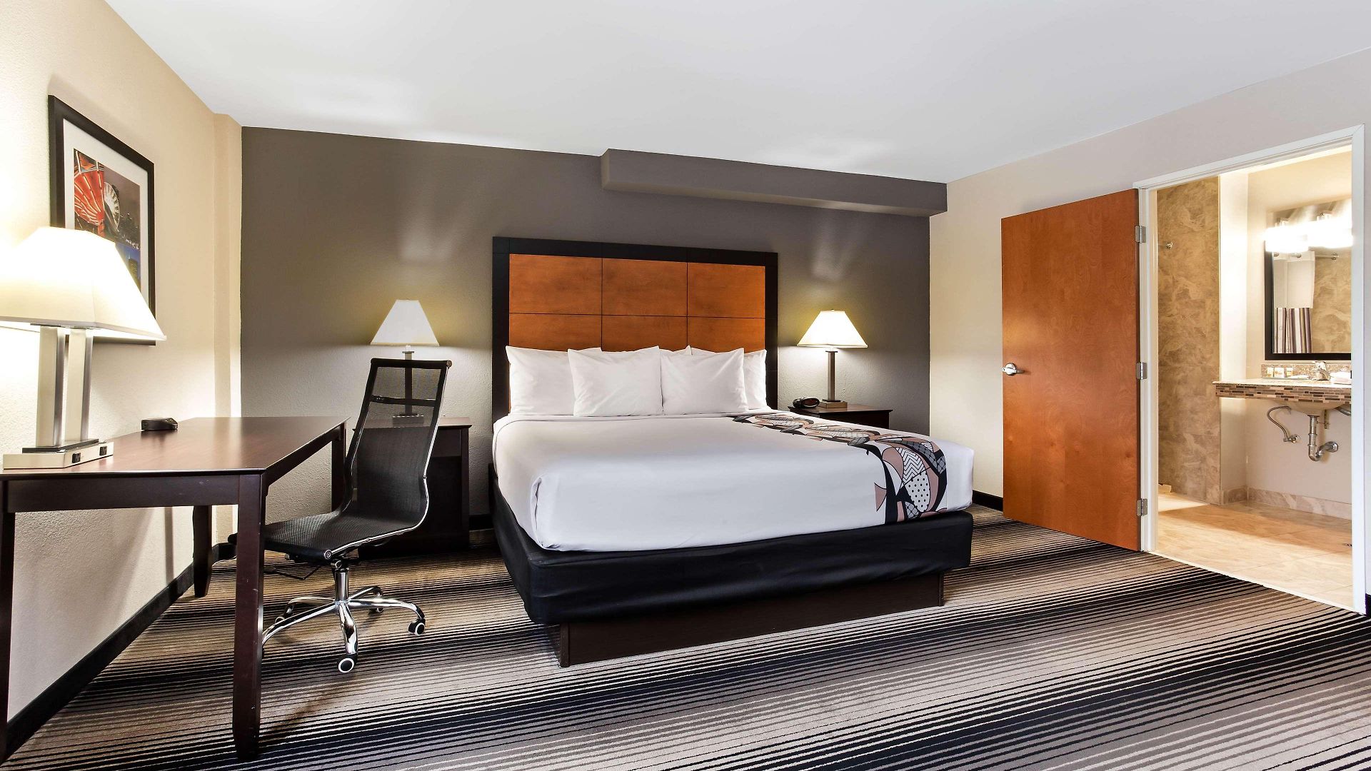 Western Hyde Park Hotel Chicago