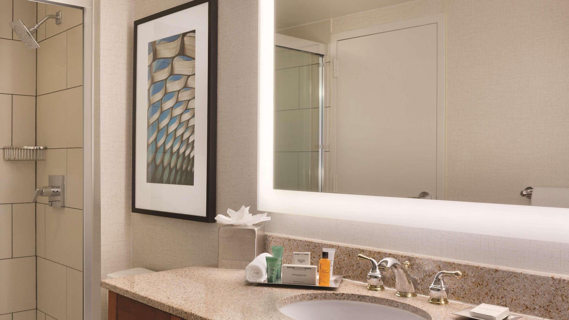 Hotel Hilton Magnificent Mile 3*
