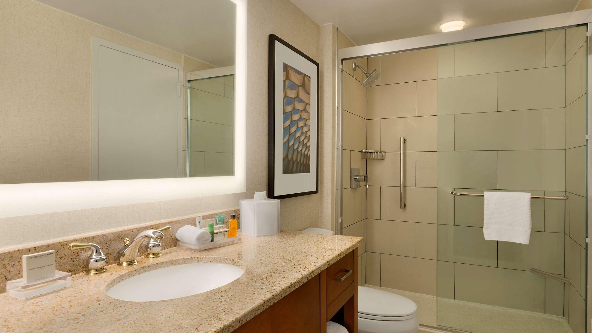Hilton Magnificent Mile Chicago