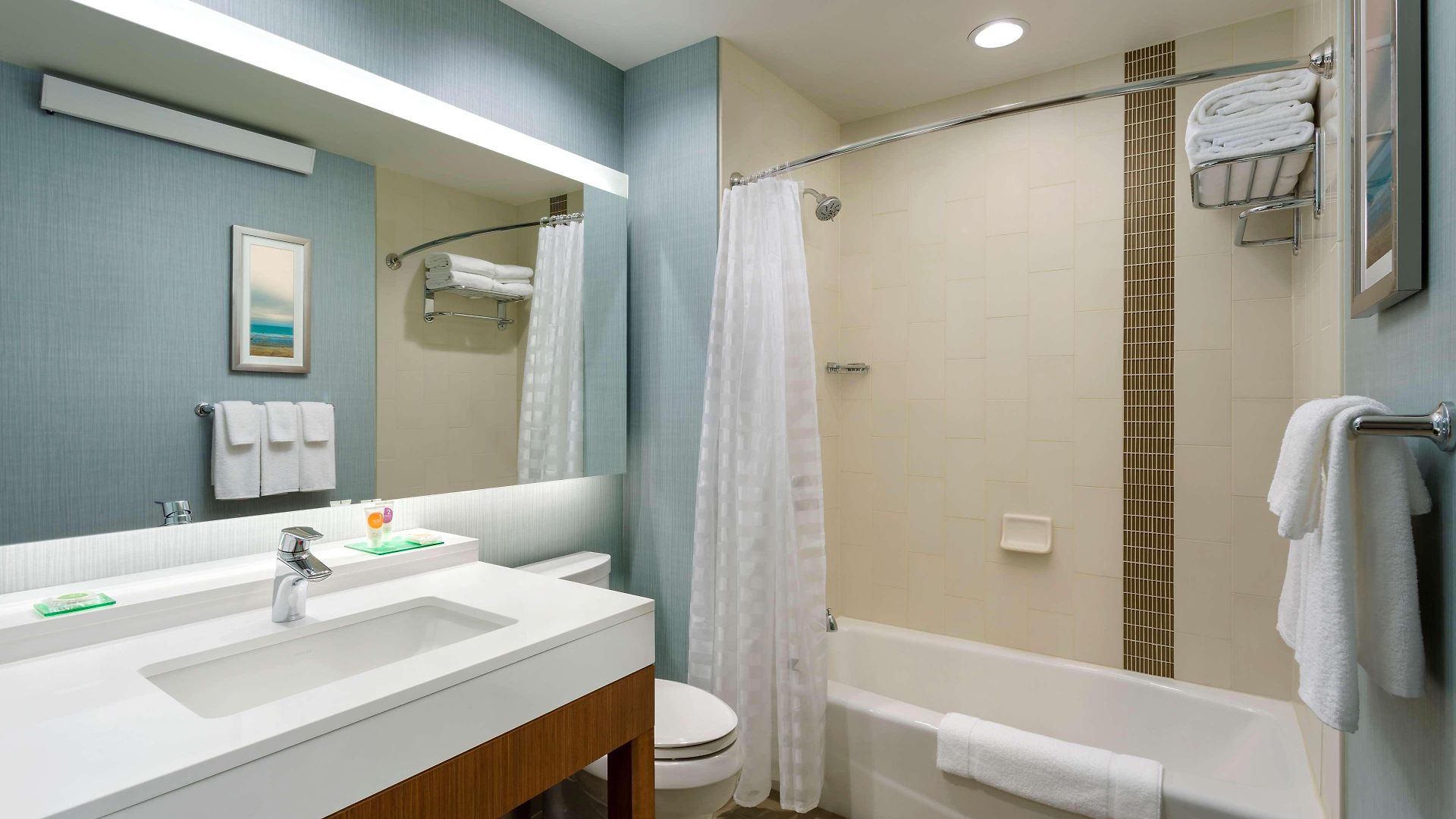 Hotel Hyatt Place Chicago/downtown - The Loop Chicago