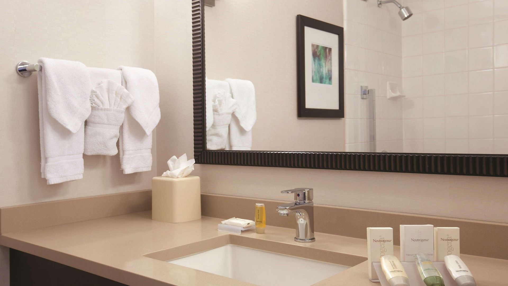 Hotel Hilton Garden Downtown/magnificent Mile Chicago