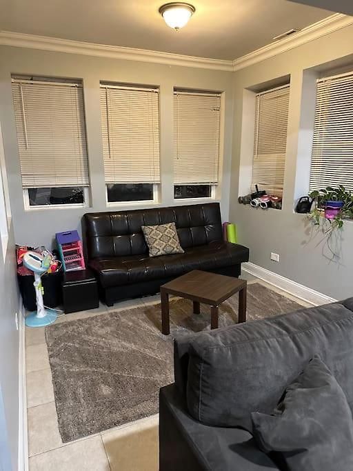 Apartment Beautiful Hyde Park Brownstone Chicago