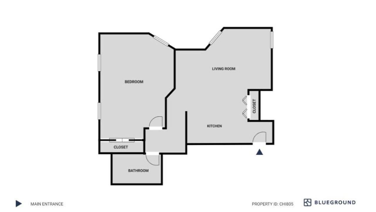 South Loop 1br Nr L Grant Park Chi-805 Apartment Chicago