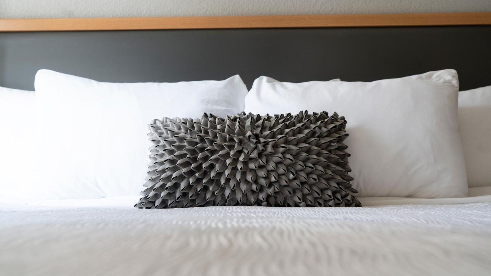 Hotel Saint Clair - Magnificent Mile