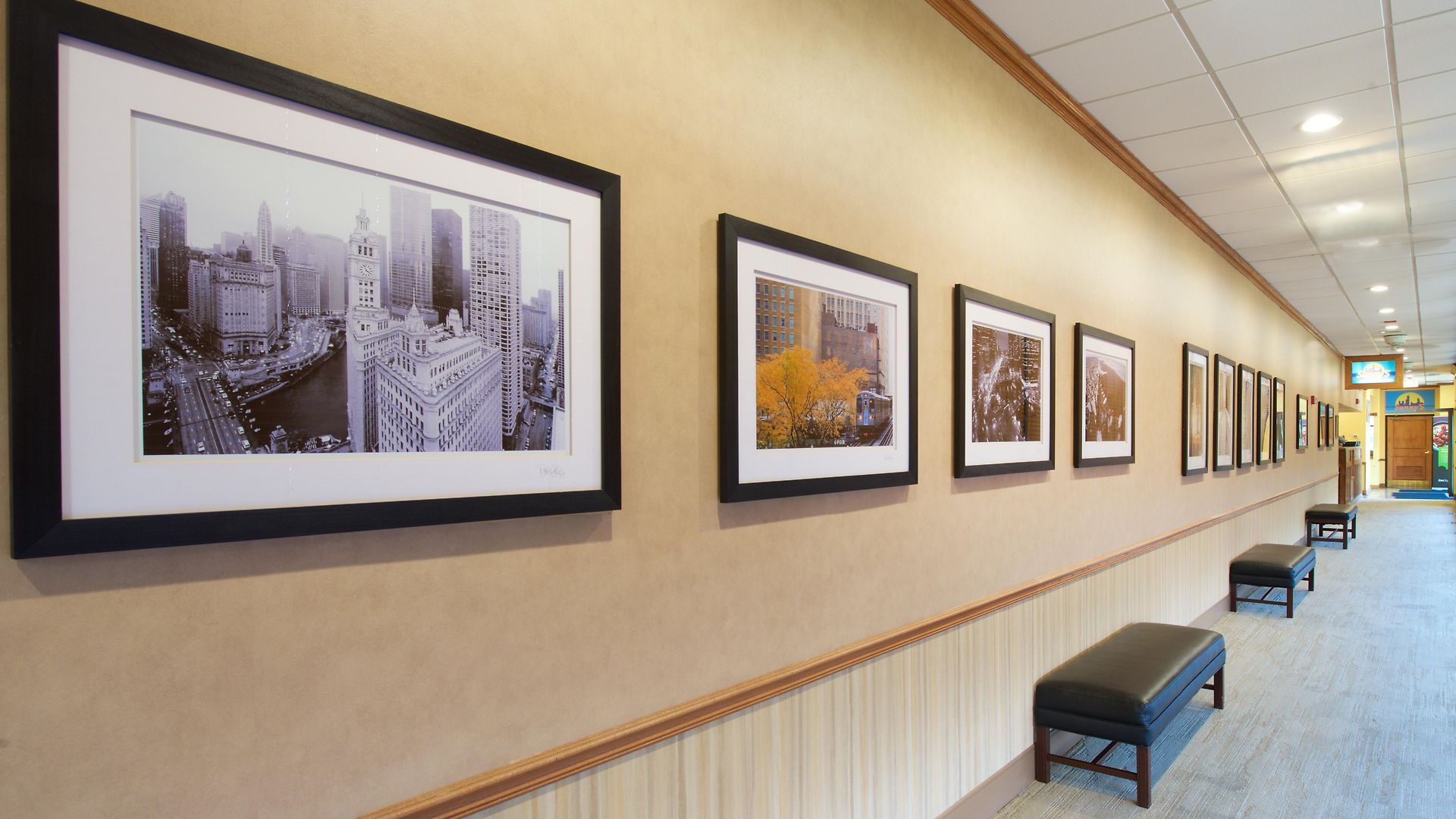 Hotel & Chicago-downtown By Ihg