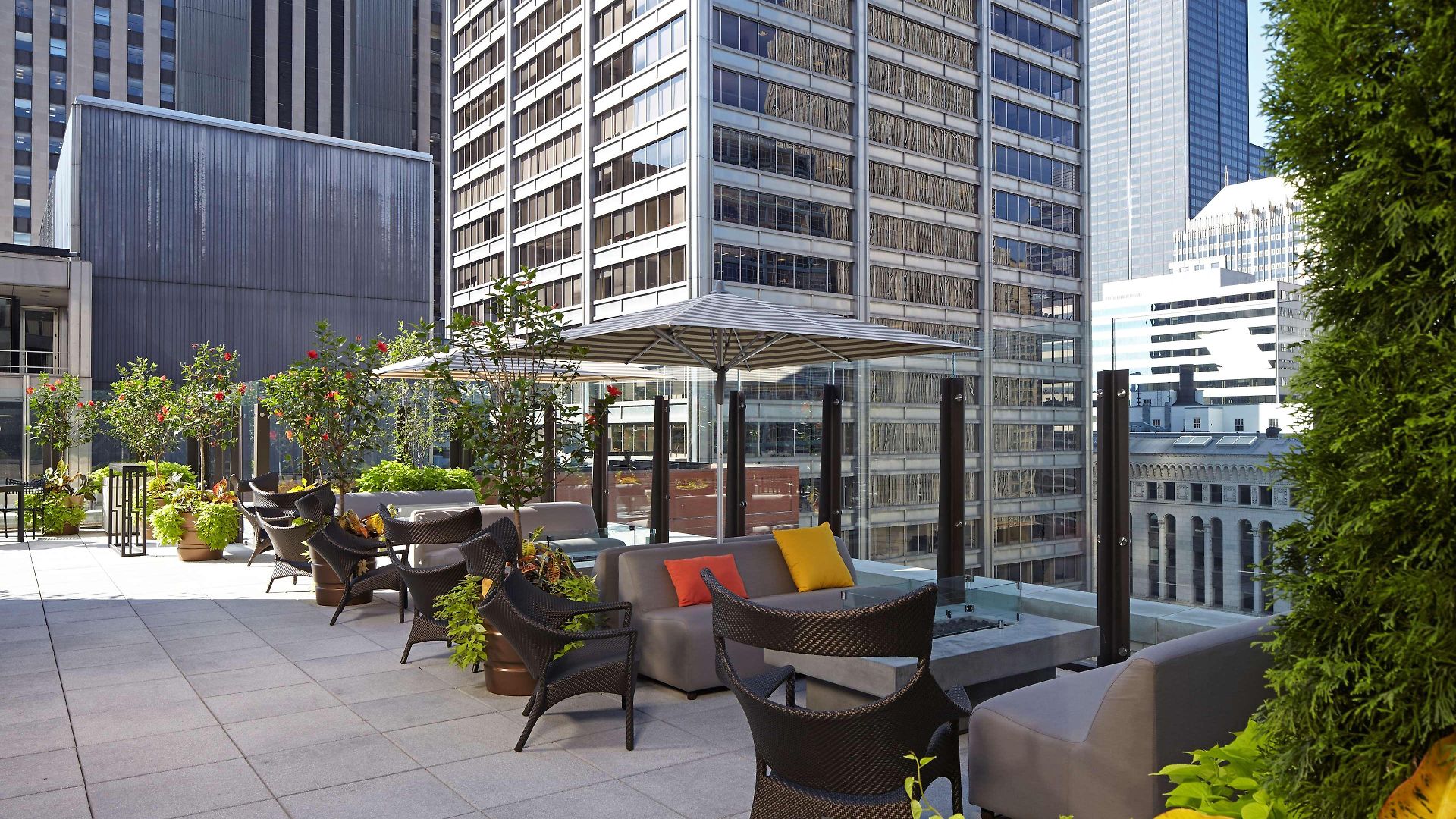Hotel Hyatt Centric The Loop