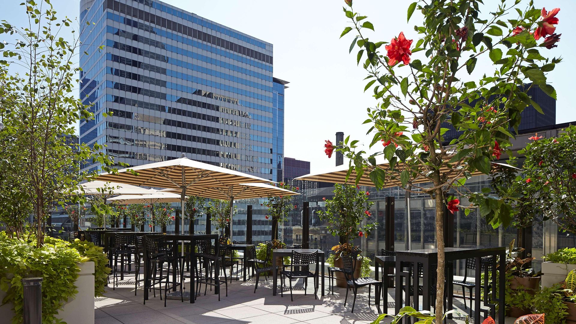 Hyatt Centric The Loop Hotel