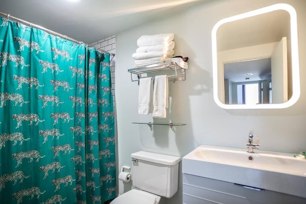 Apartment Luxury Downtown Penthouse With Private Rooftop