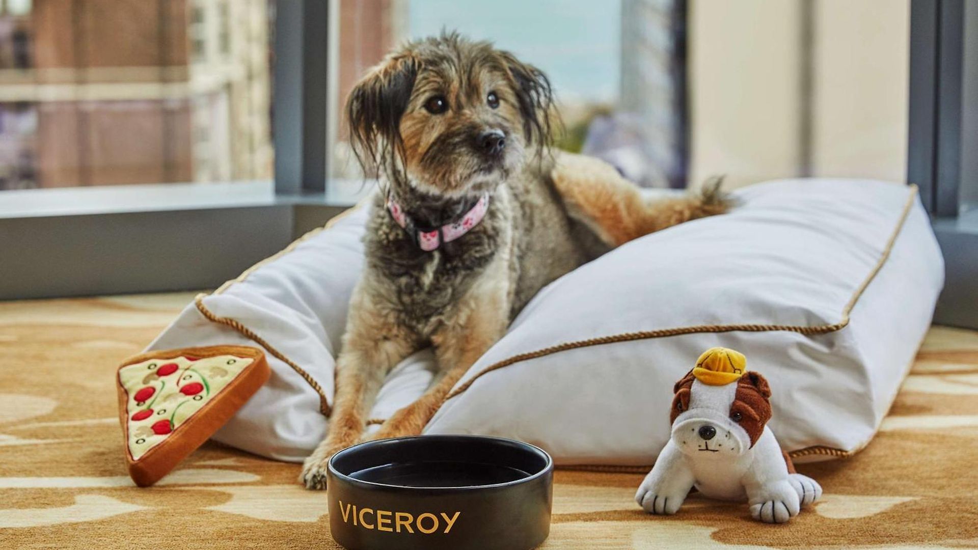 Viceroy 5*