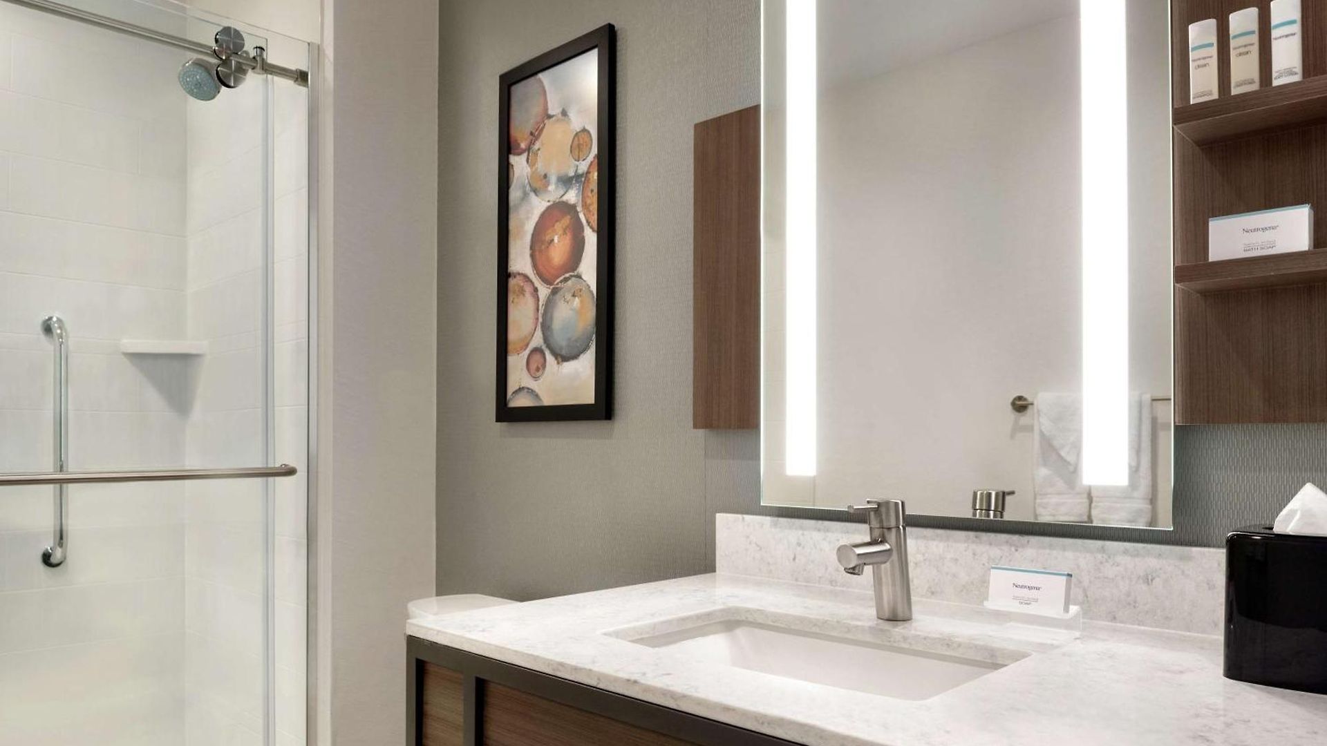 Hilton Garden Downtown South Loop Hotel 3*