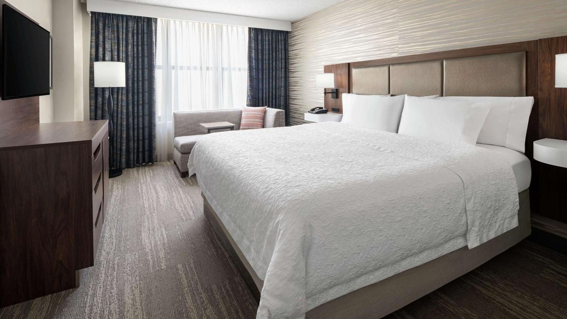 Hampton & Chicago-downtown Hotel