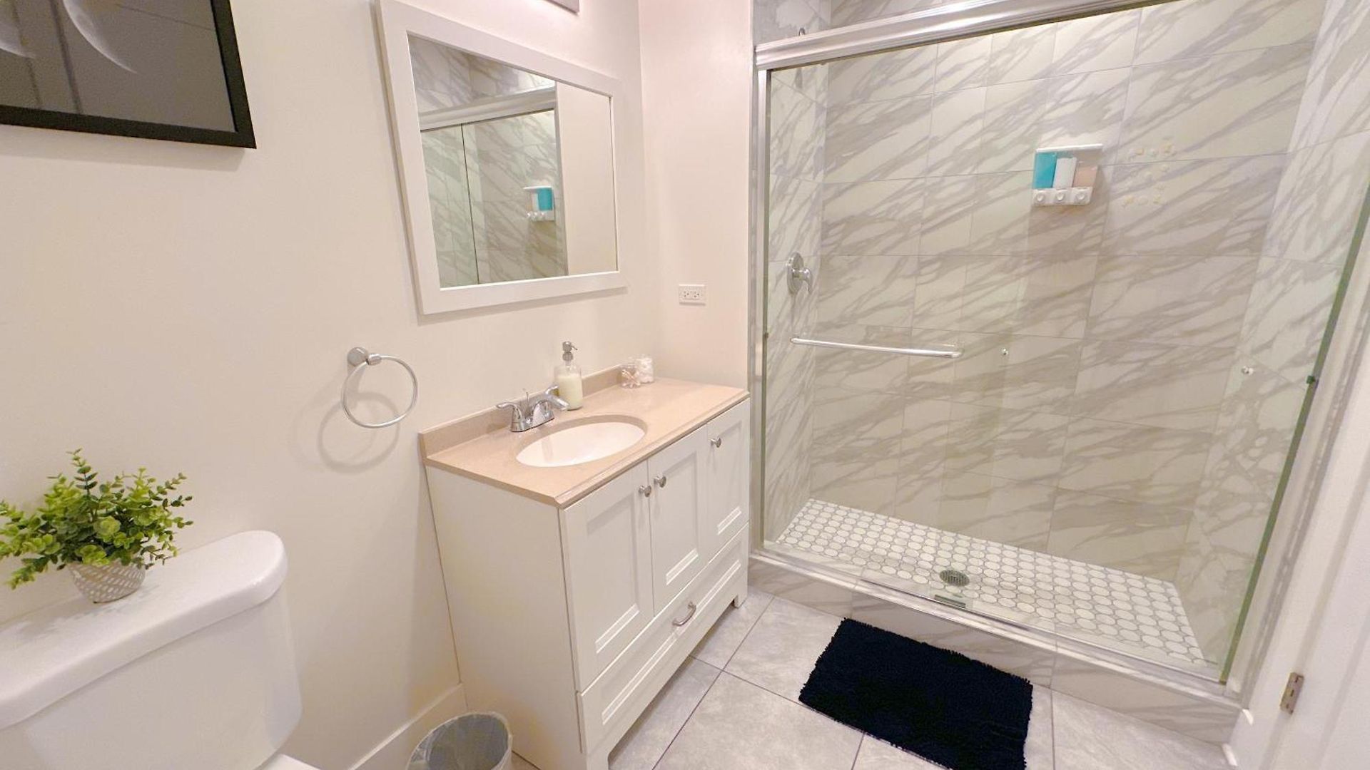 Spacious 420-friendly 2br Retreat Near Mccormick Place, Grant Park And Soldier Field Apartment
