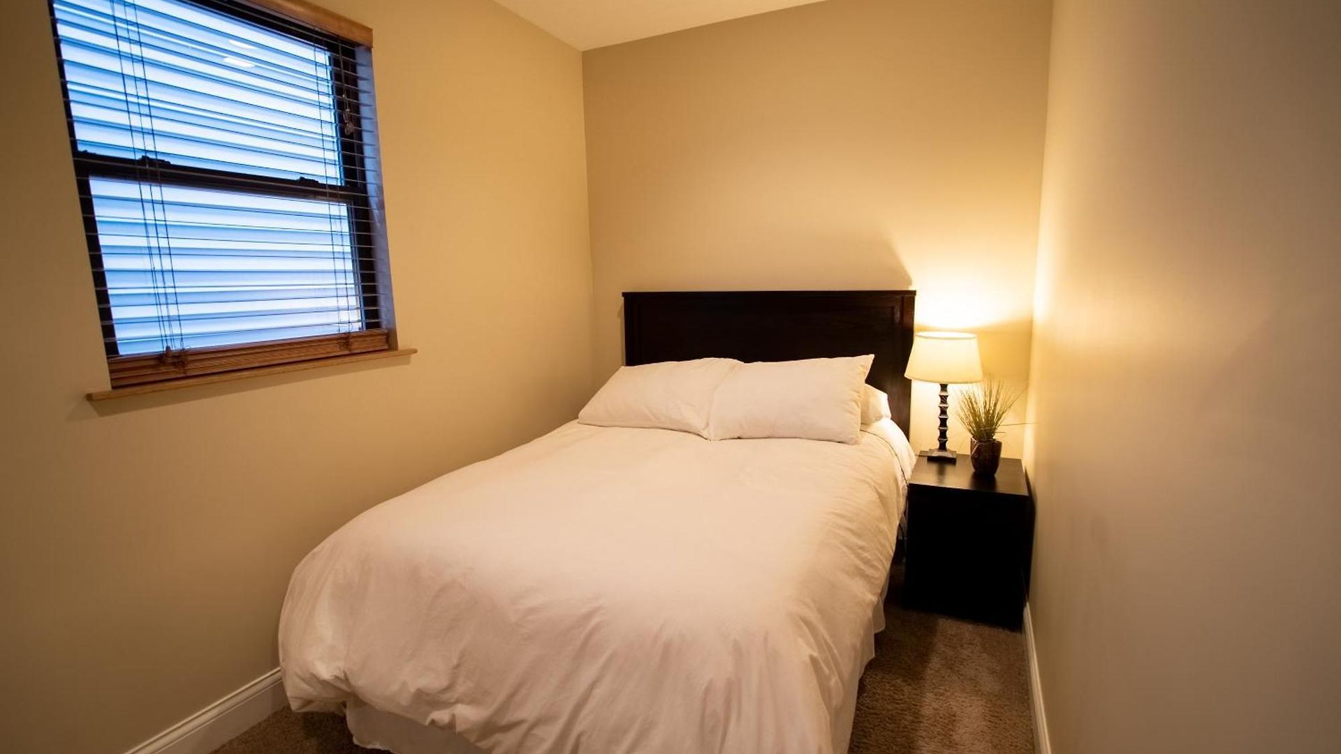 Roscoe Village Apartment Chicago