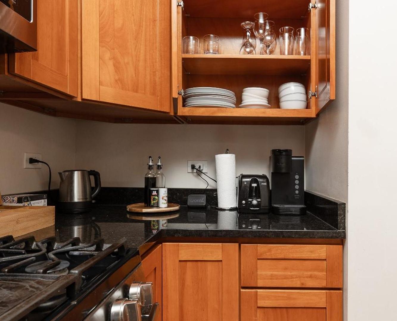 Wicker Park 2br Modern Dv3 * Chicago