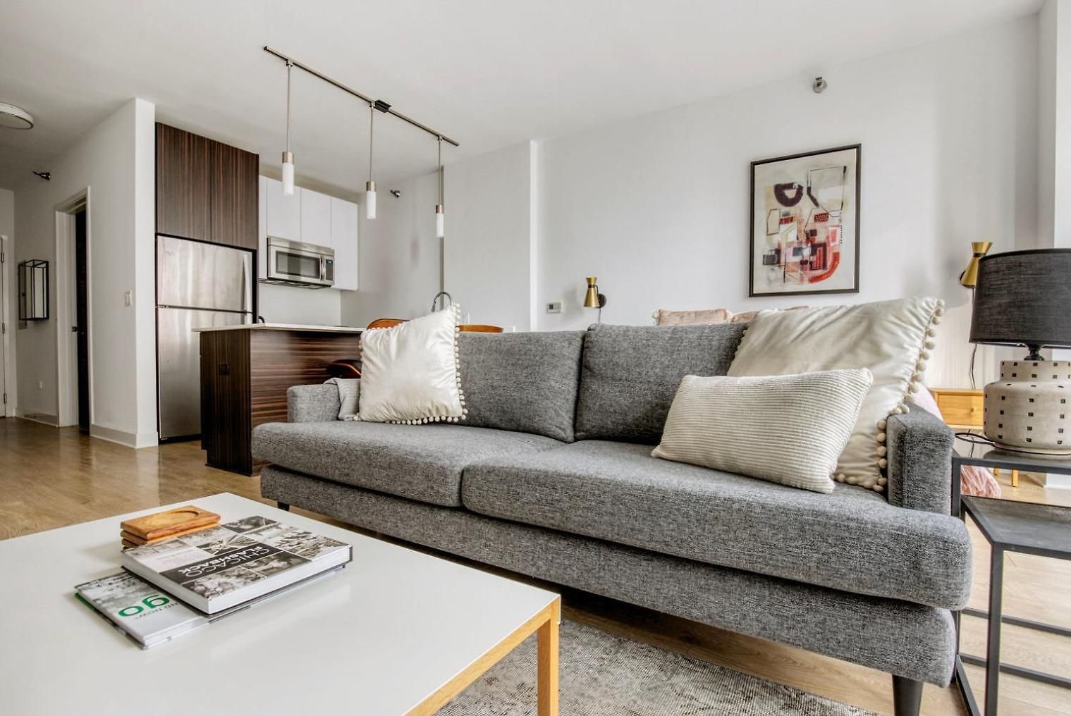 Loop W Roof Deck Nr Michigan Ave Chi-1014 Apartment *