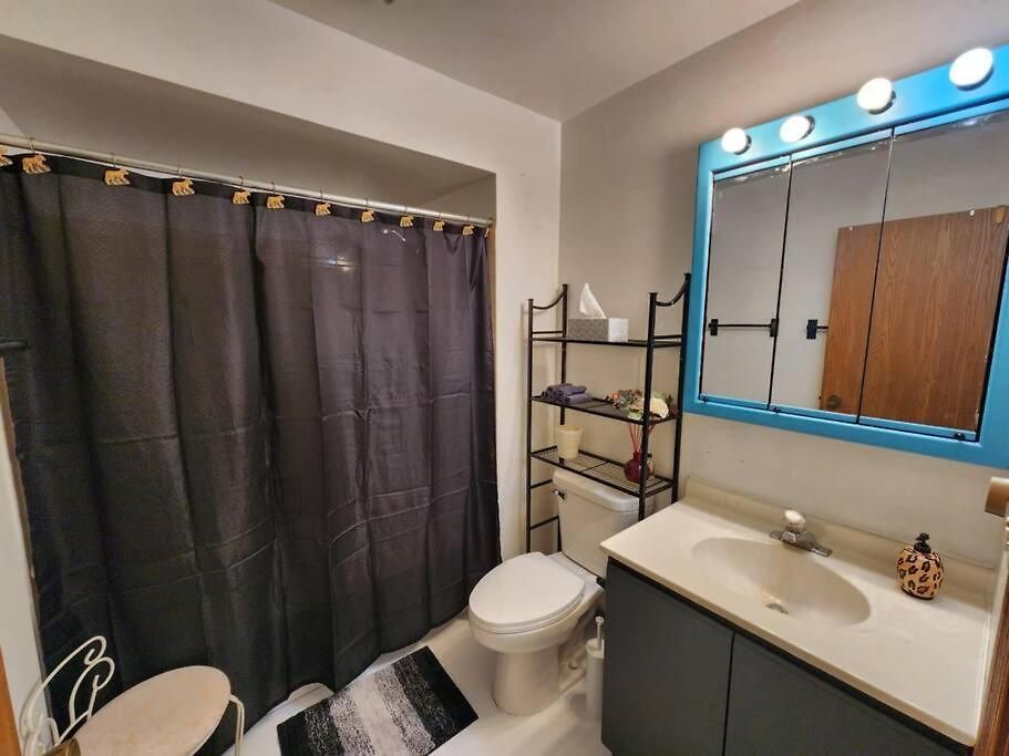 Retro 2 Bedroom 6 Mins To United Center With Parking Apartment
