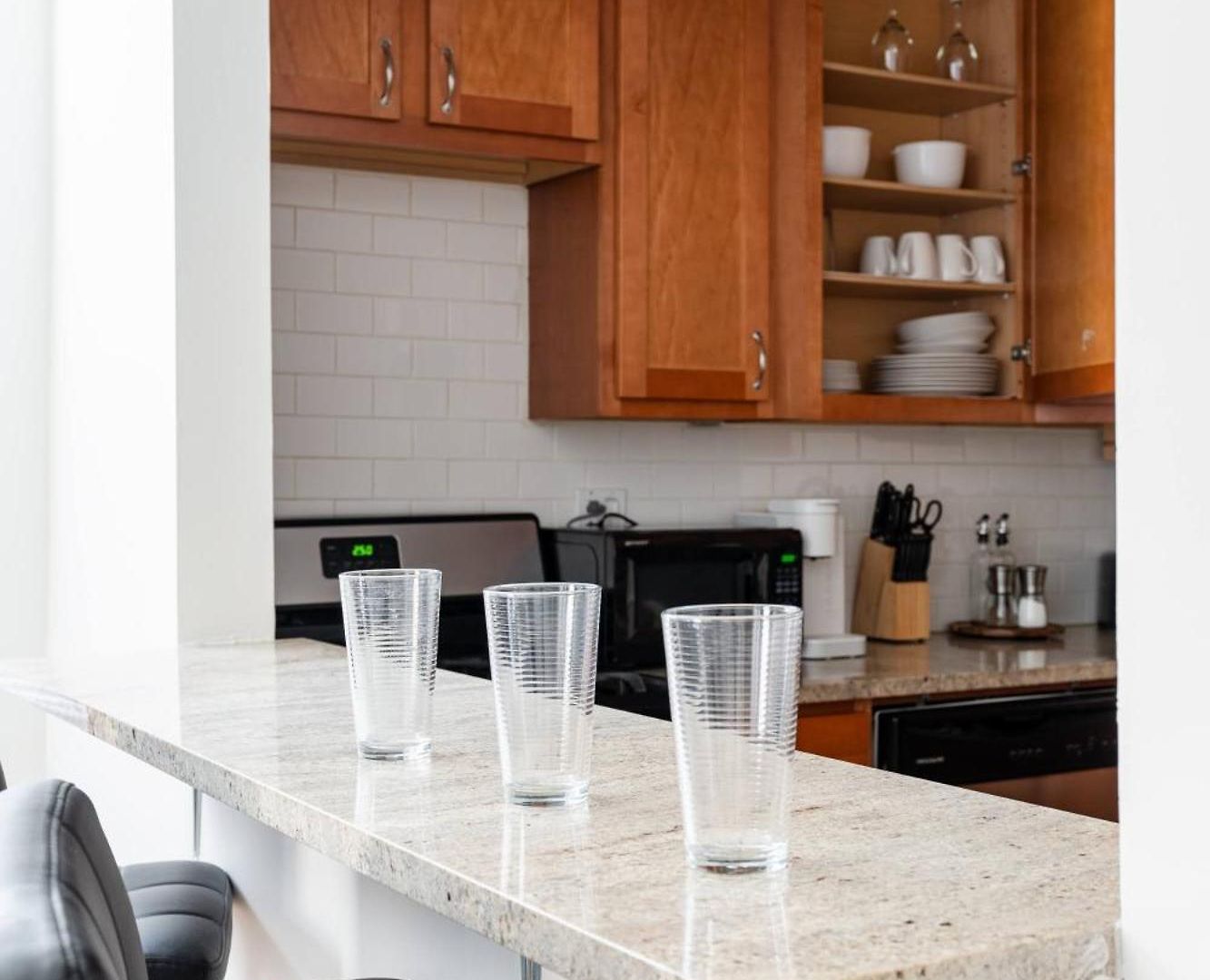 Ukrainian Village 3Br Apartment Apartment *