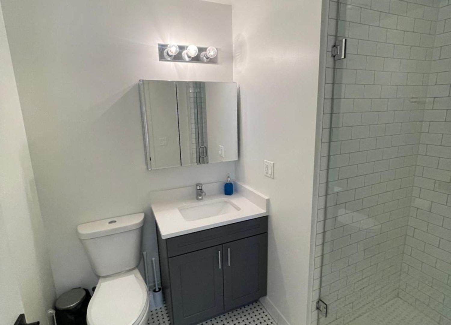 Stylish Shared Minutes From Downtown Chicago, 1bedroom And Shared Access