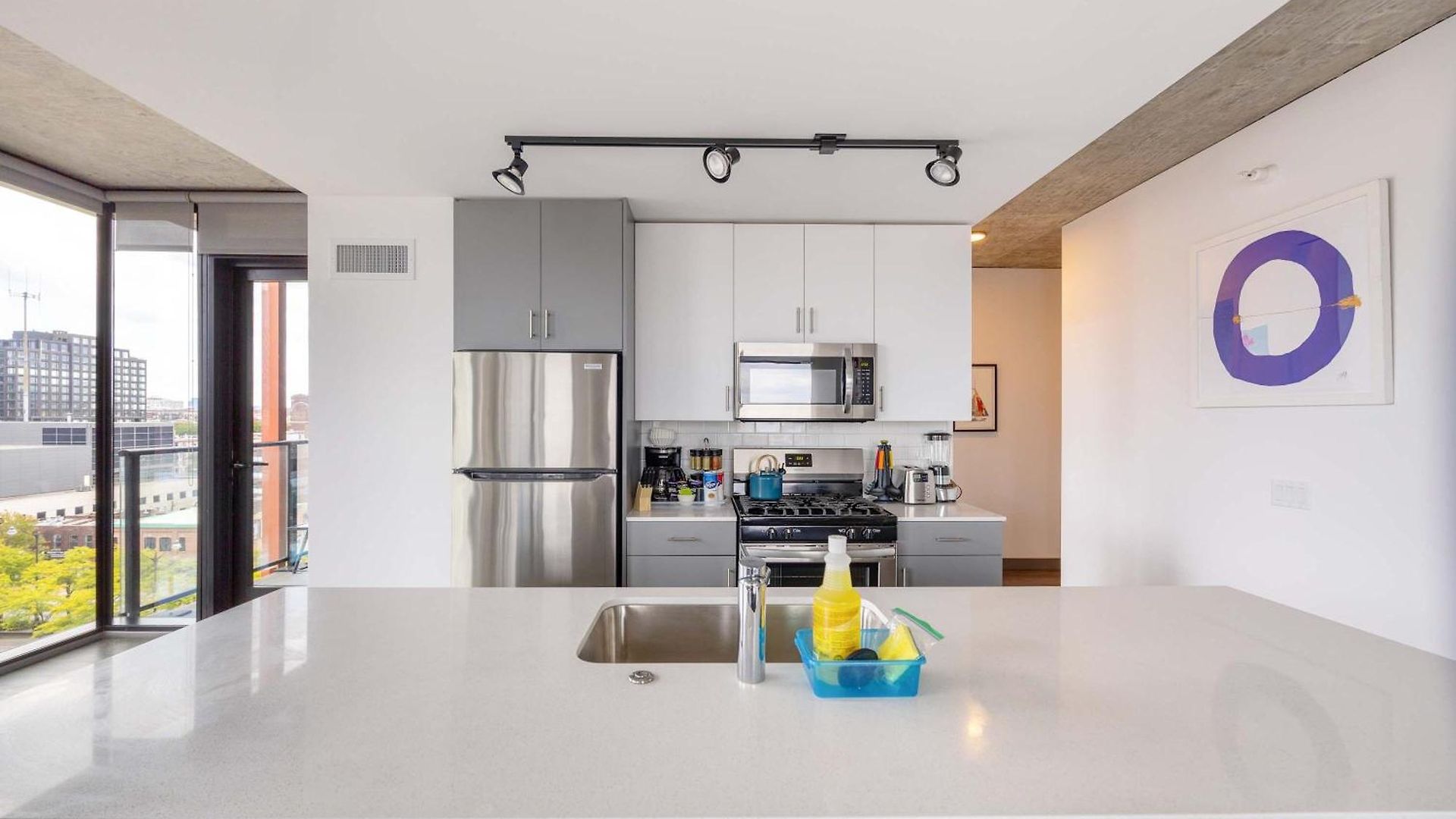 Sophisticated 3br - New Modern And Luxurious Chicago