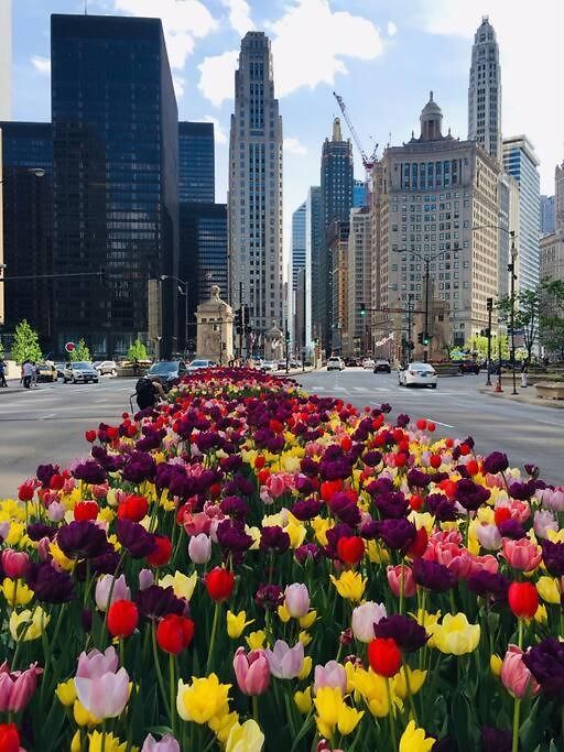 Entire In Heart Of Lincoln Park & Sea And Chicago