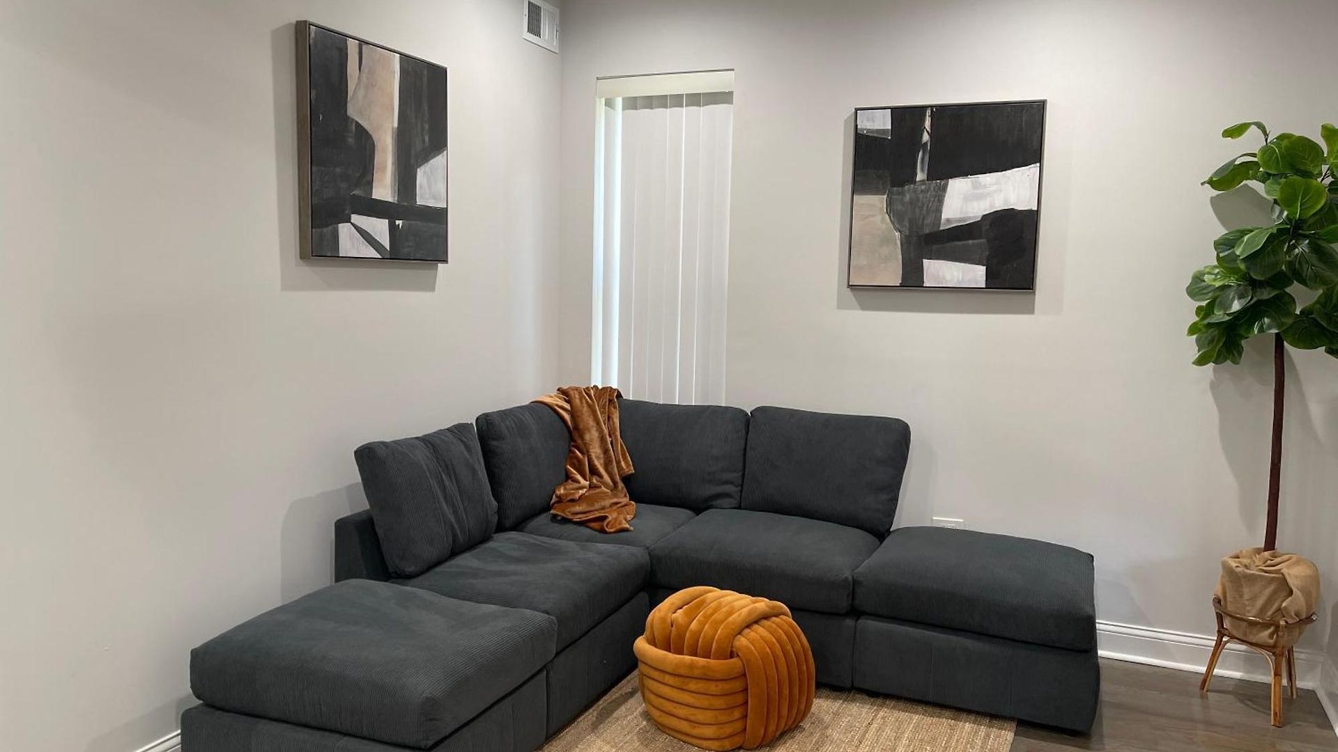 Apartment Mixed Rustic Vibes Chicago