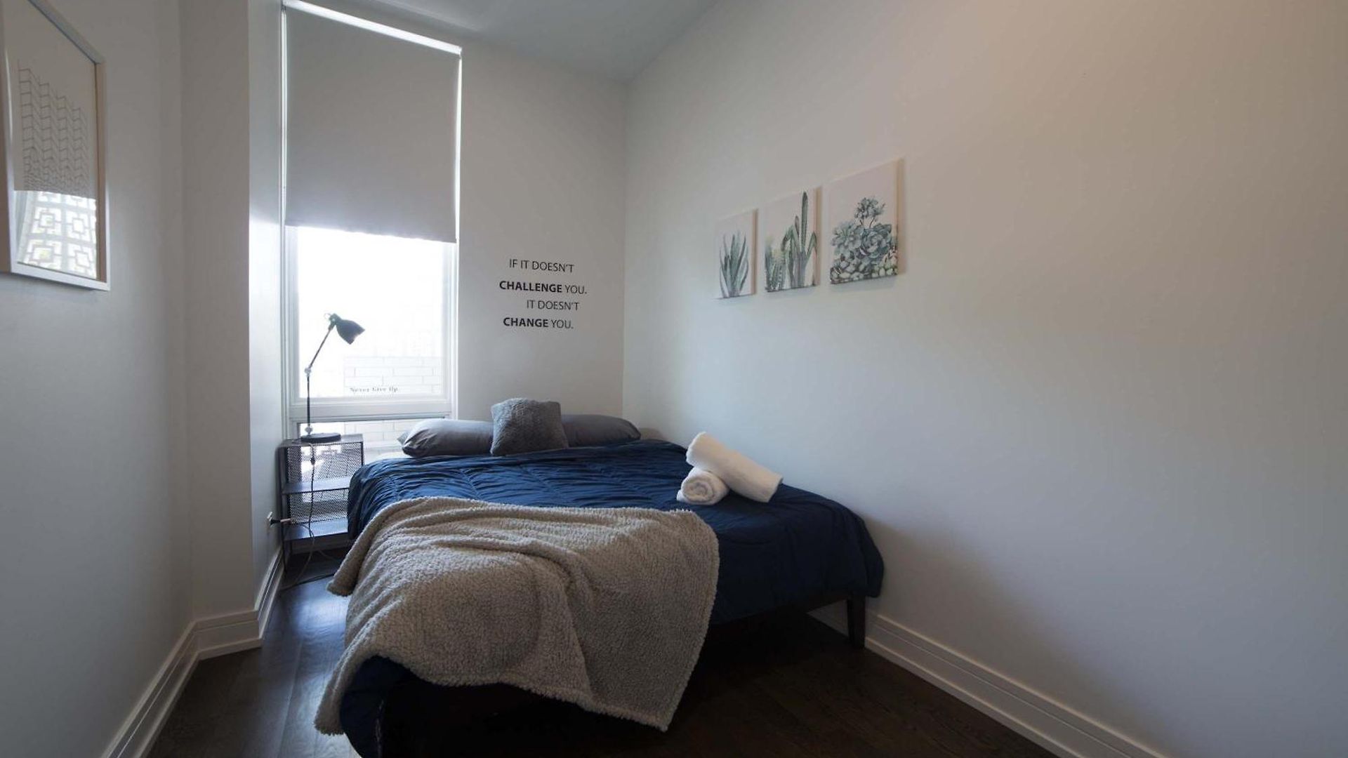 Large 4-bedroom Upscale W Rooftop *