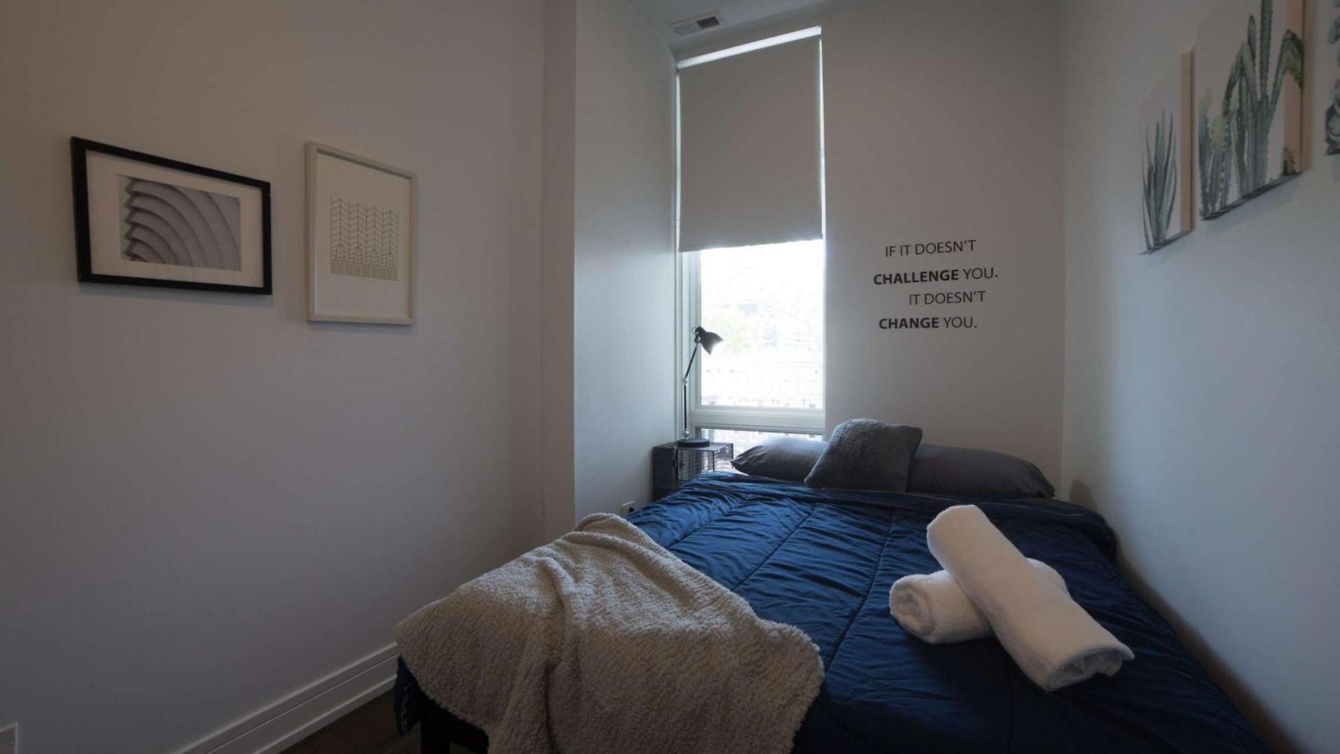 Large 4-bedroom Upscale W Rooftop Chicago