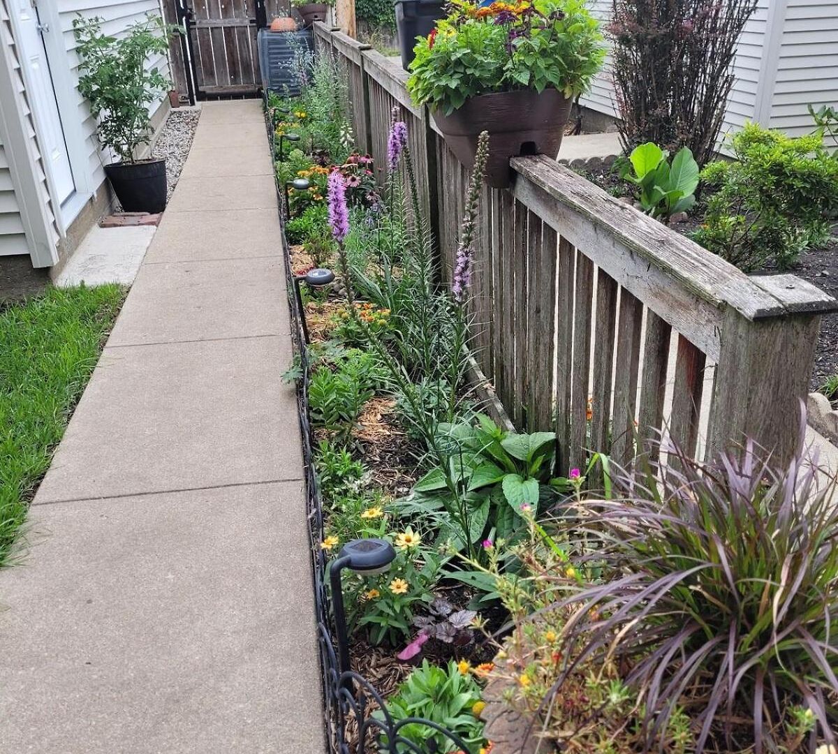 Comfy Garden In Andersonville