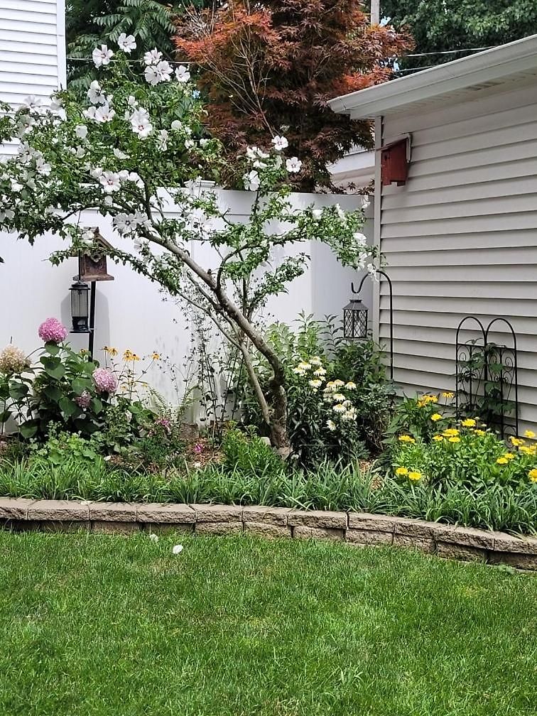 Comfy Garden In Andersonville Apartment