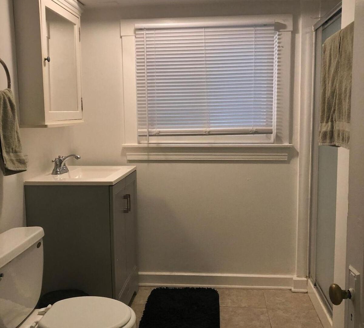 Apartment Comfy Garden In Andersonville
