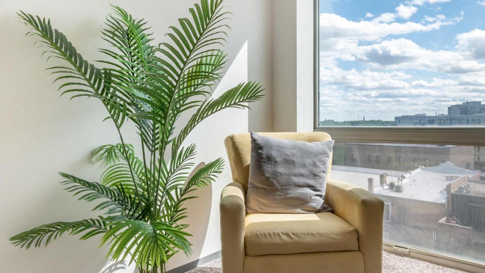 Brand New 2br Escape Chicago