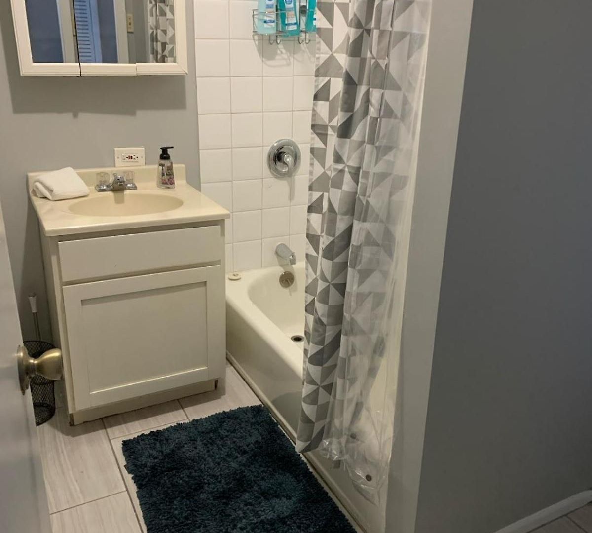 Apartment South Loop 2 Bedroom Chicago