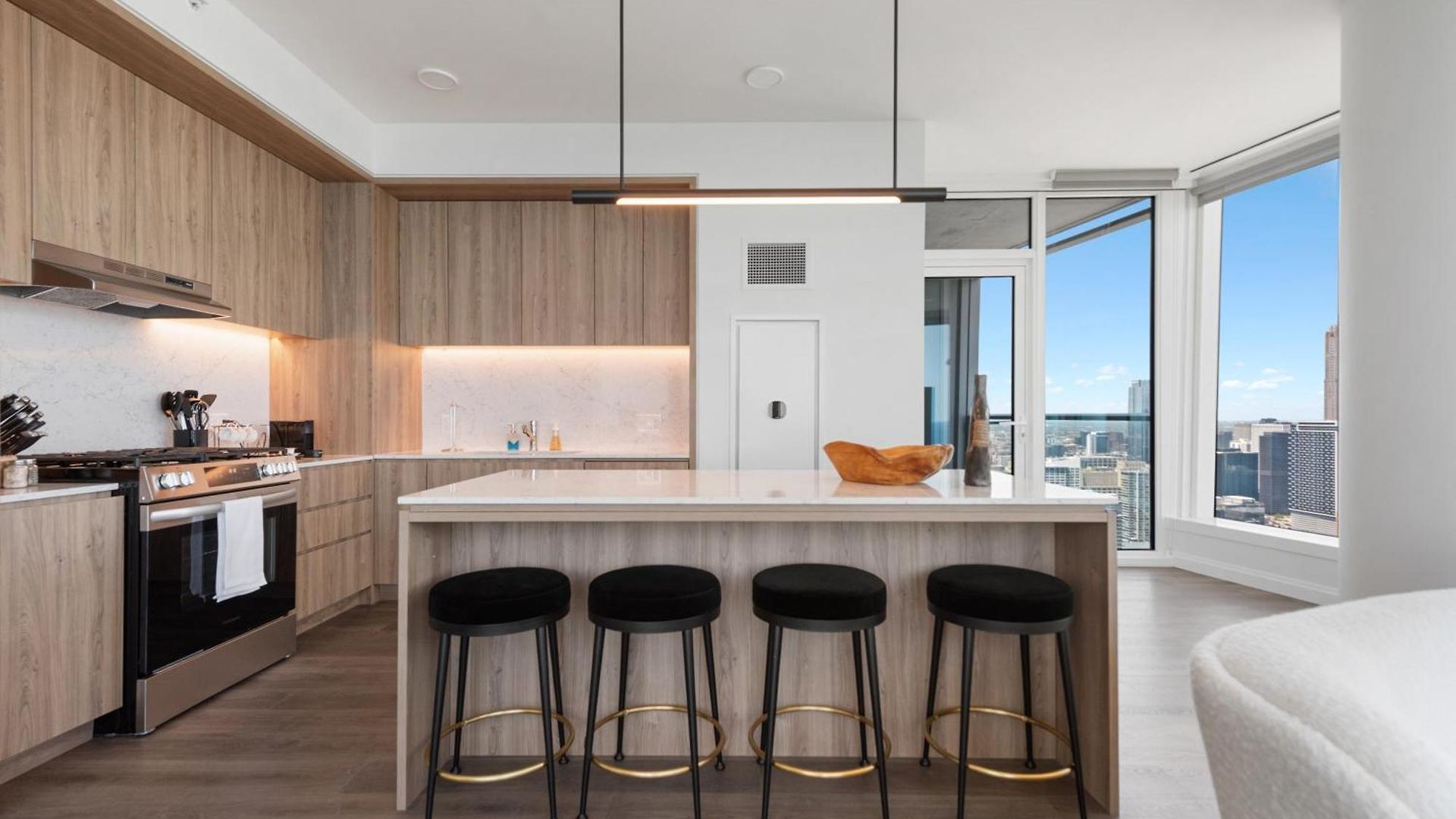 Lux Apts With Views And Amenities * Chicago