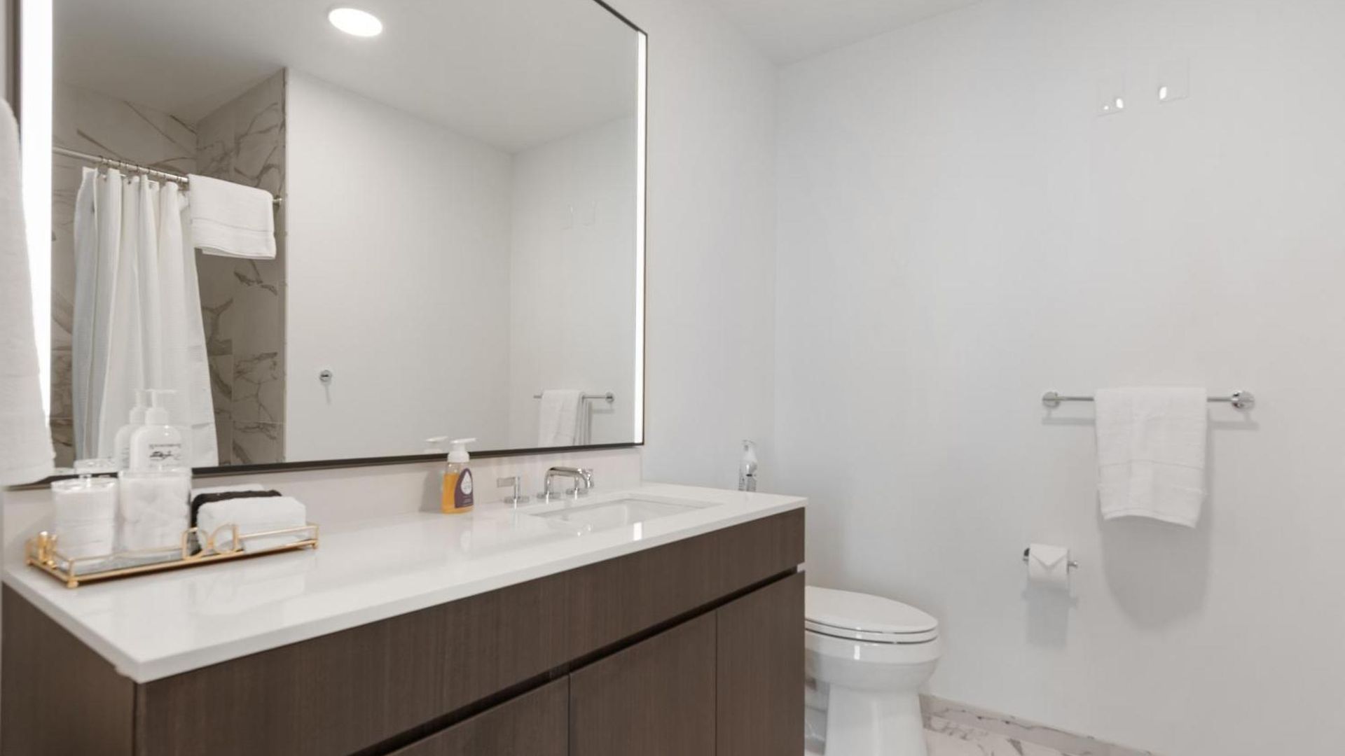 Apartment Lux Apts With Views And Amenities Chicago