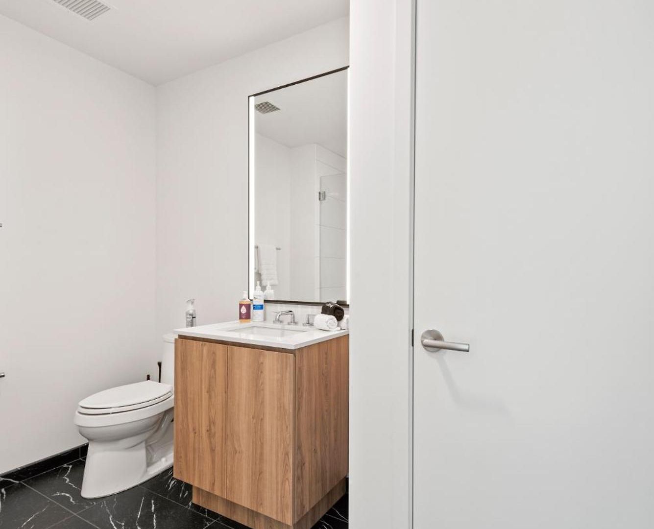 Apartment Lux Apts With Views And Amenities