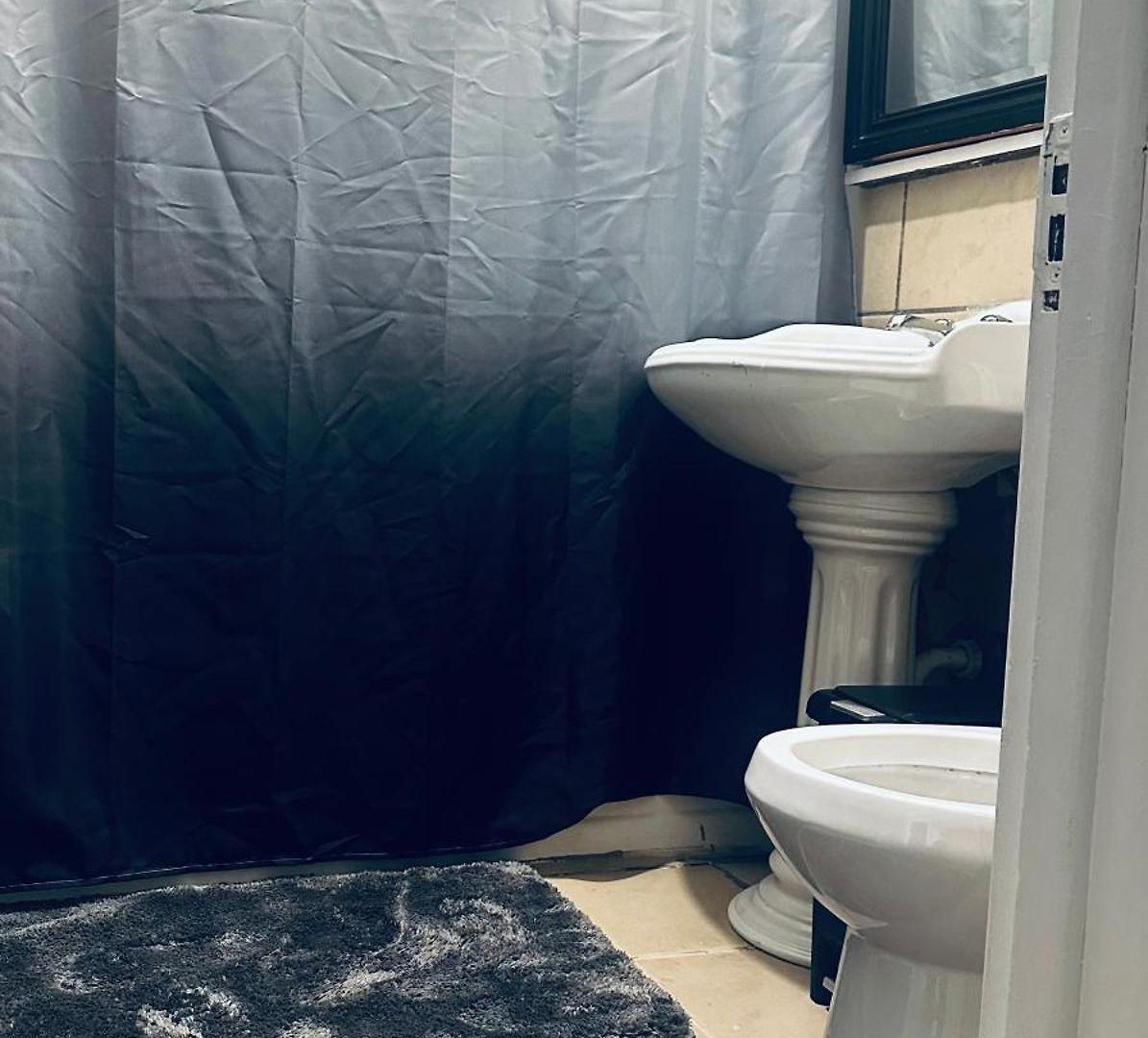 Cozy In Hyde Park Greater Grand Crossing Apartment Chicago